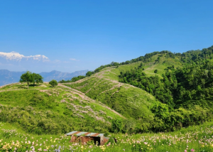धुपडाँडा: प्रकृतिको अनुपम उपहार, एक अन्वेषण नगरिएको ‘भर्जिन डेस्टिनेसन’